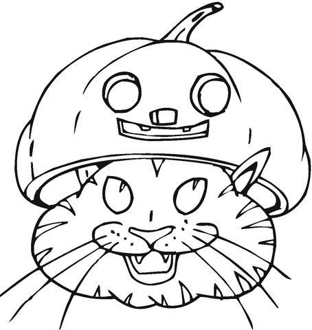 Online coloring book: Coloring book black cat with pumpkin on his head
